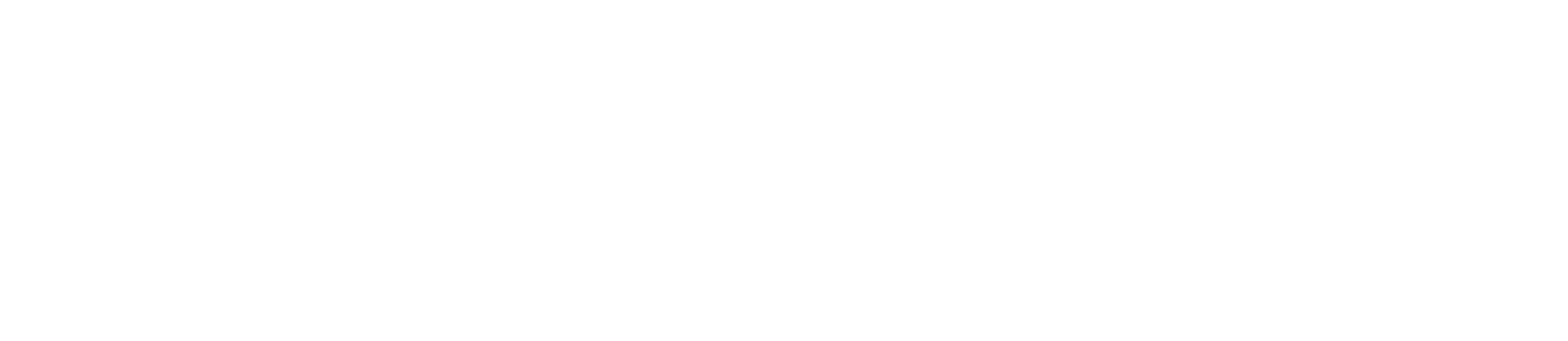Conscious Capitalism Chapter Logo