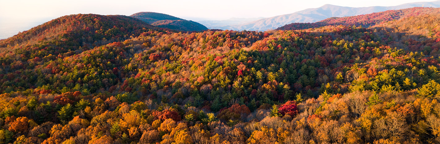 hills of colorful foliage