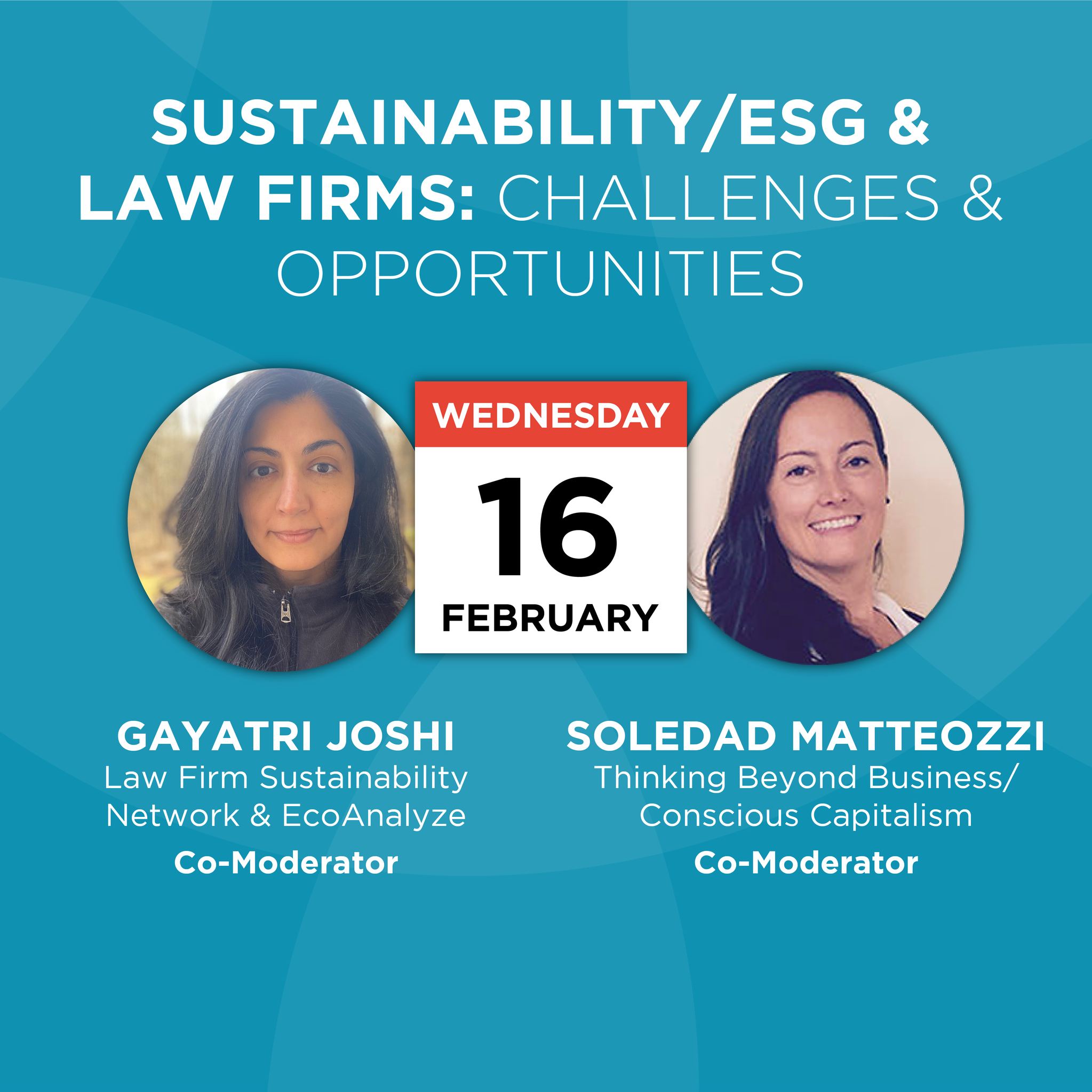 Sustainability/ESG and Law Firms: Challenges and Opportunities